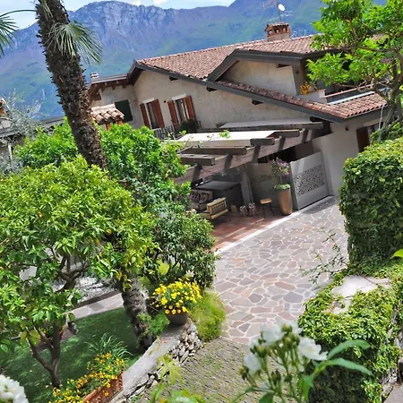 Bella Limone